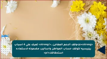 <p><strong>وقف الدعم المفاجئ..</strong> تعرف على 4 أسباب رئيسية لتوقف حساب المواطن وأساليب مضمونة لاستعادة استحقاقك</p>